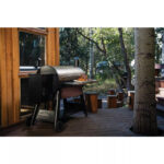 Traeger Pro Series 34 Wood Pellet Grill, Bronze