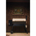 Traeger Pro Series 34 Wood Pellet Grill, Bronze
