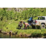 Traeger Tailgater 20 Wood Pellet Grill, Black